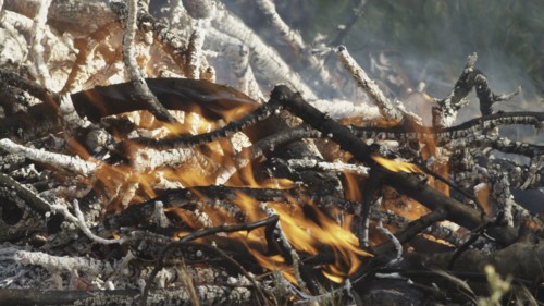 Smouldering embers