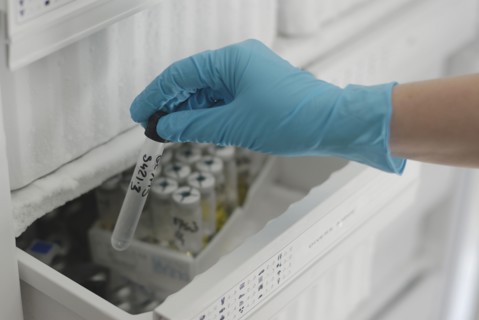 Lab technician holding test tube from freezer in laboratory close-up of hand