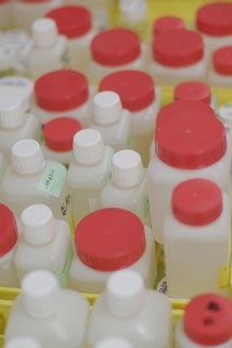 Sample containers