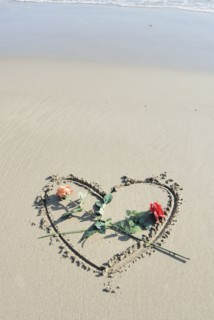 Roses laid on heart drawn in sand