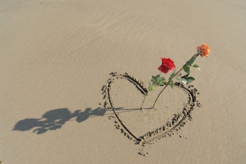 Roses sticking out of heart drawn in sand