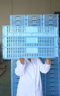 Woman holding crates in front of face