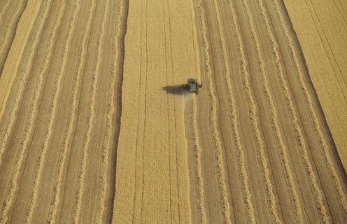 Combine harvester in wheat field aerial view