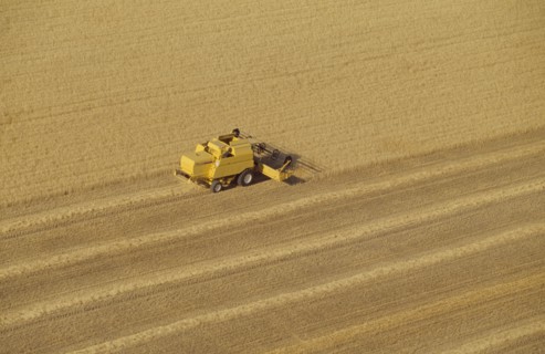 Combine harvester in wheat field aerial view