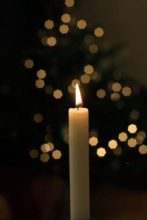Candle with Christmas tree in background