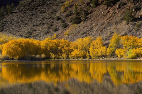 Autumn trees and hillside reflecting in lake