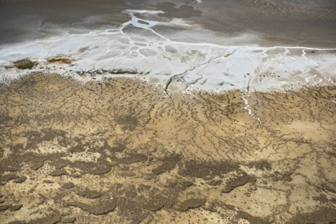 Aerial view of desert