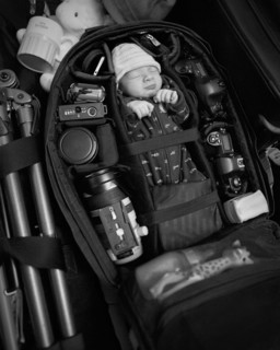 Caucasian infant packed into camera bag
