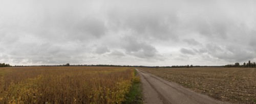 Dirt path through fields in rural landscape