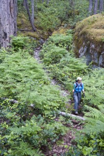 Hispanic woman hiking in woods