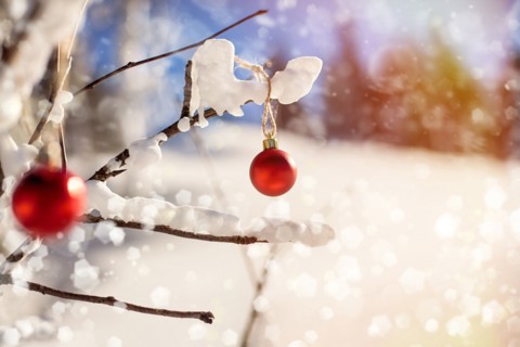 Christmas ornaments on branch in snow