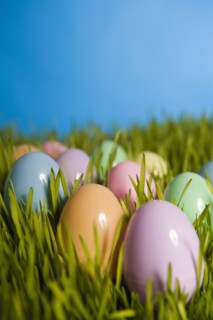 Group of colored Easter eggs in grass