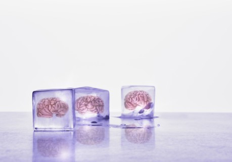 Brains frozen in ice cubes