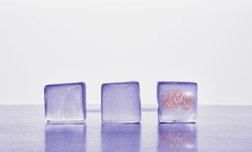 Brain frozen in ice cube