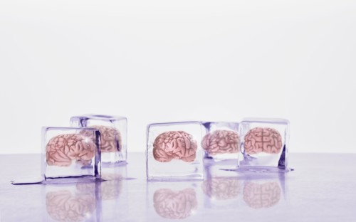Brains frozen in ice cubes