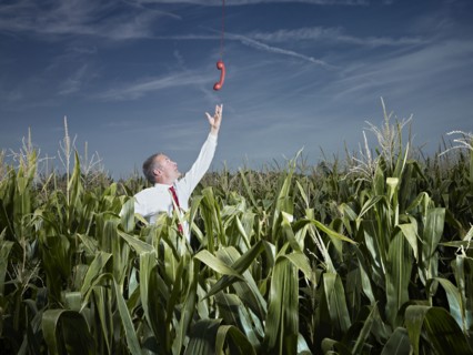 Caucasian businessman in corn field reaching for red telephone