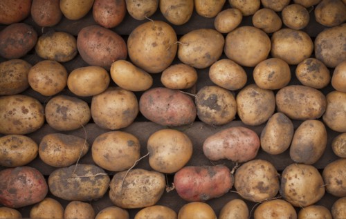 Potatoes in box
