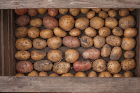 Potatoes in a wooden box