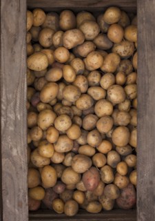 Potatoes in a wooden box