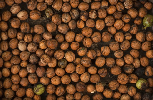 Pile of walnuts