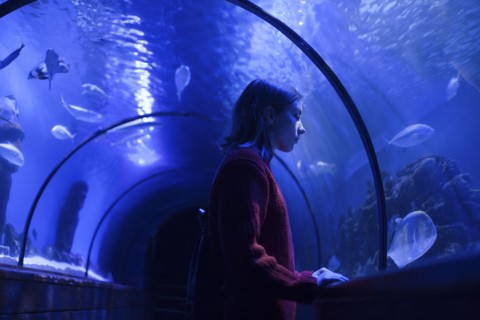 Caucasian woman admiring fish in aquarium