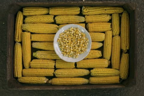 Kernels of corn in bowl on box of corn on cob