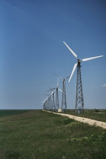 Row of wind turbines