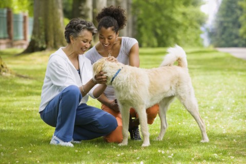 African American mother and adult daughter petting dog
