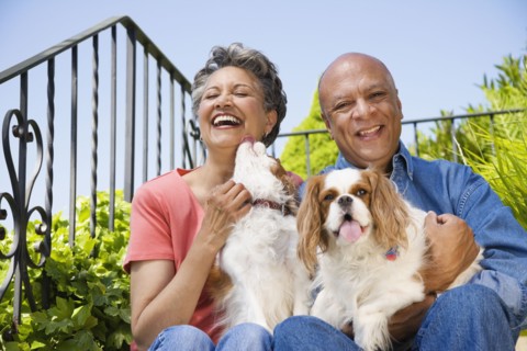 Senior African American couple with dogs