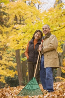Hispanic couple raking autumn leaves