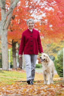 Mixed race woman walking dog