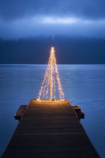 String of lights in tree shape on wooden pier