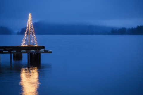 String of lights in tree shape on wooden pier