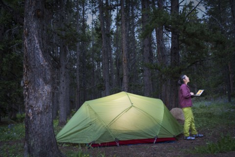 Japanese woman using laptop at campsite