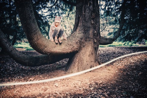 Mixed race girl climbing tree in park