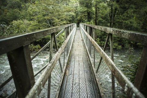 Wooden bridge over river in forest