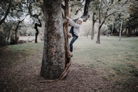 Mixed race girl climbing tree in park