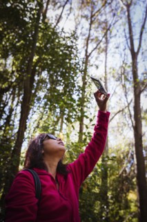 Mixed race woman photographing trees in forest