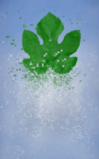 Pixelated leaf dissolving in sky