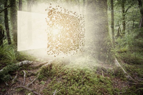 Digital cube exploding in forest