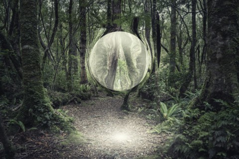 Orb glowing in forest