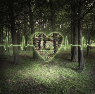 Pixelated heart floating in forest