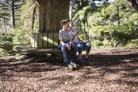 Mixed Race brother and sister sitting on bench at tree