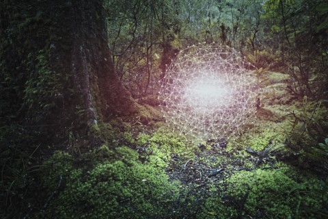 Glowing connected dots hovering in forest