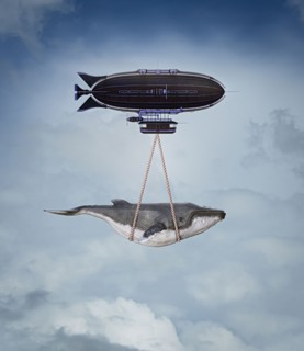 Blimp carrying whale in sky