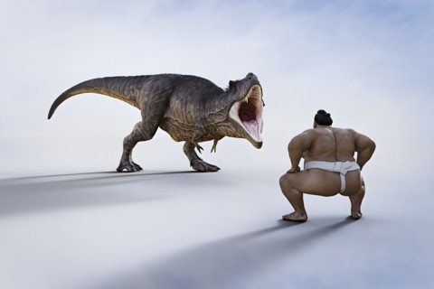 Sumo wrestler facing fierce dinosaur