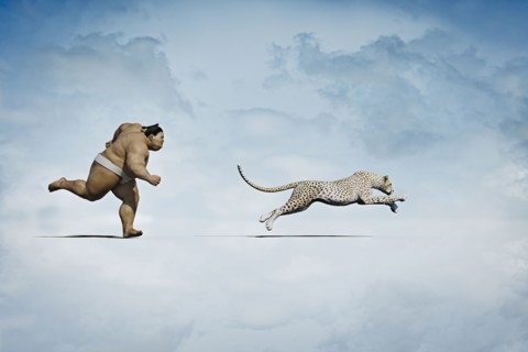 Sumo wrestler chasing cheetah