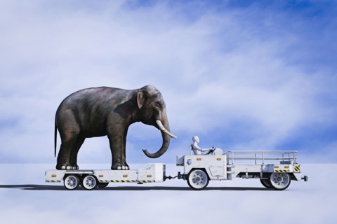 Robot driving tractor pulling elephant on trailer