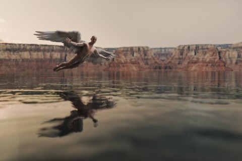 Angel flying over water