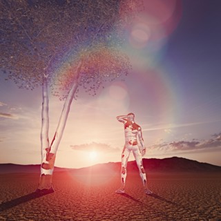 Transparent man and tree in desert